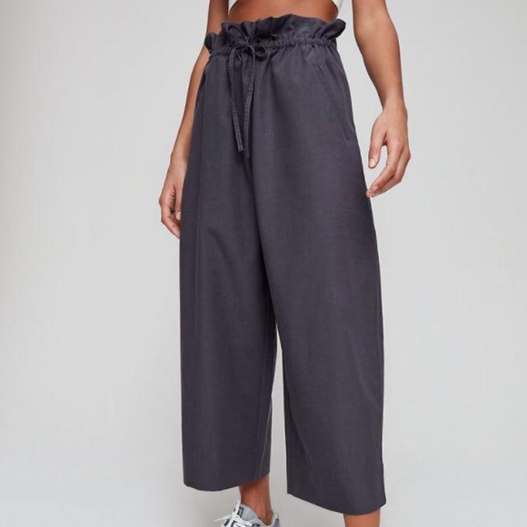 Babaton Pants - BNWOT The group by Babaton Kerri Pant